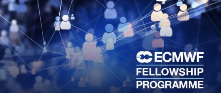 Logo ECMWF Fellowship programme cut