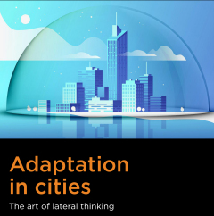 Cover klein Adaptation in cities