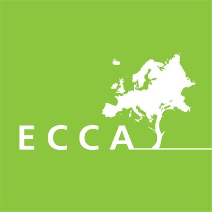 Logo ECCA2019
