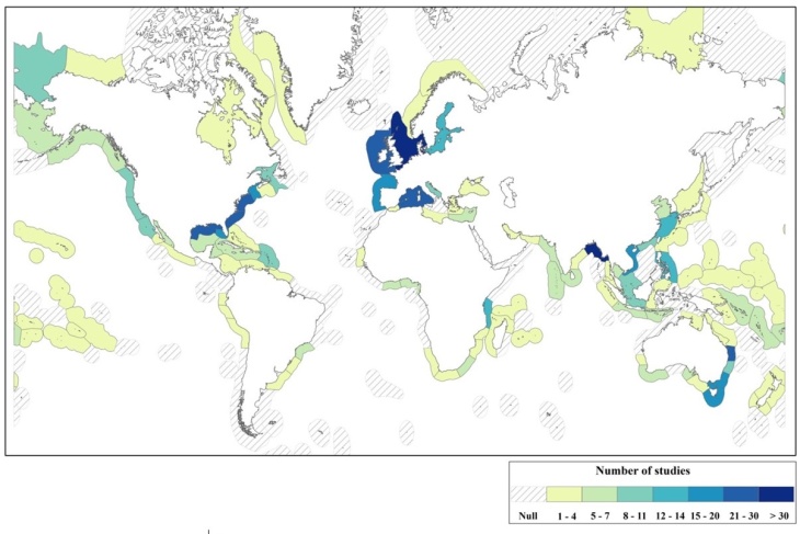 Geographical distribution of reported coastal adaptation research studies by ecoregion